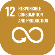 ONU icona produzione e consumo sostenibile