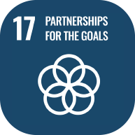 ONU icona partnership per raggiungere gli obiettivi