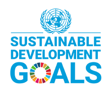 ONU Obiettivi di Sviluppo Sostenibile logo